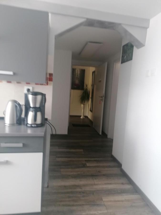 Ferienwohnung Andreea Saarlouis Buitenkant foto